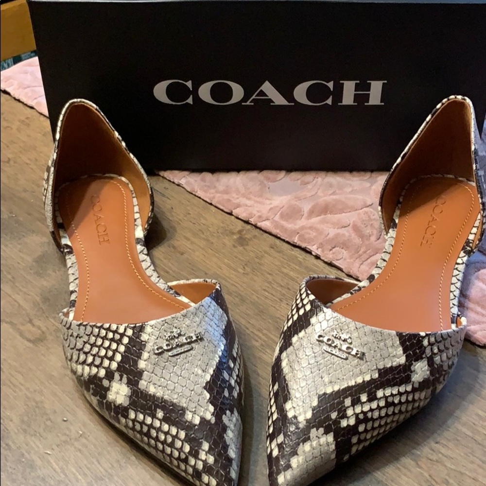 Snake print 🐍Coach Shoes size 9